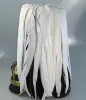 Prussian General Officer Pickelhaube with Original Federbush Visuel 5